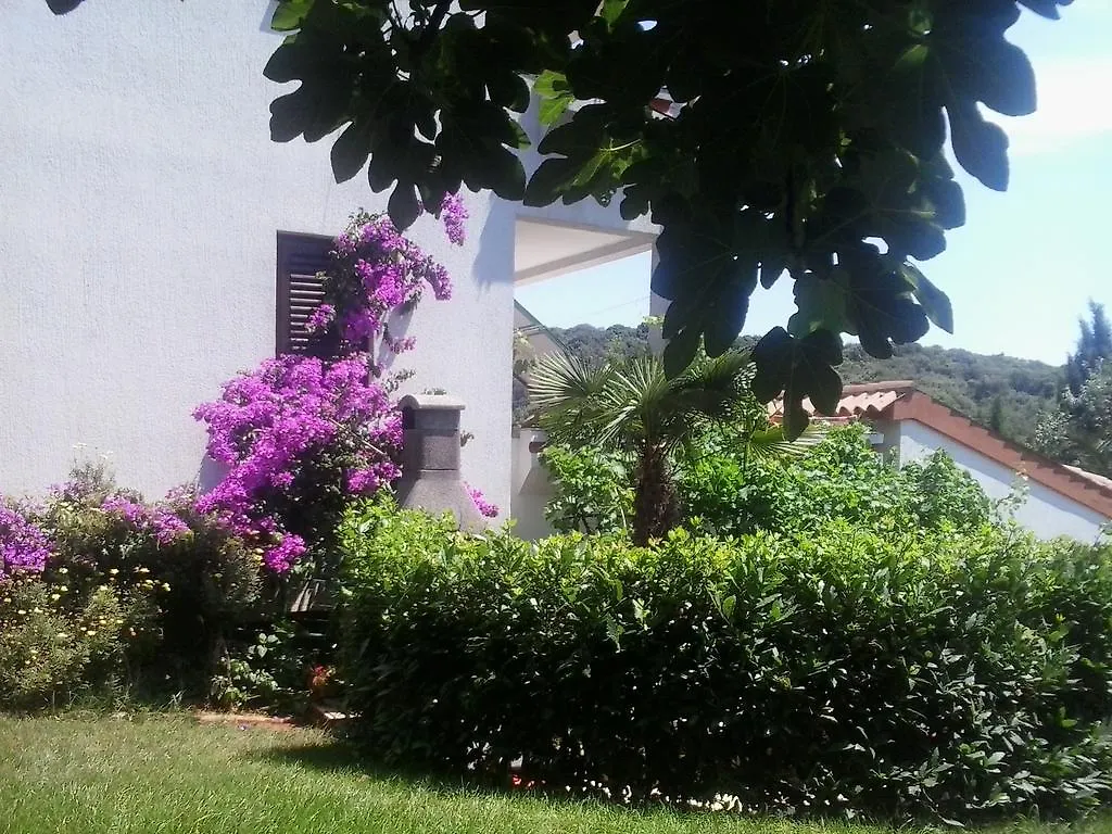Apartment Iva Pula 0*,  Croatia
