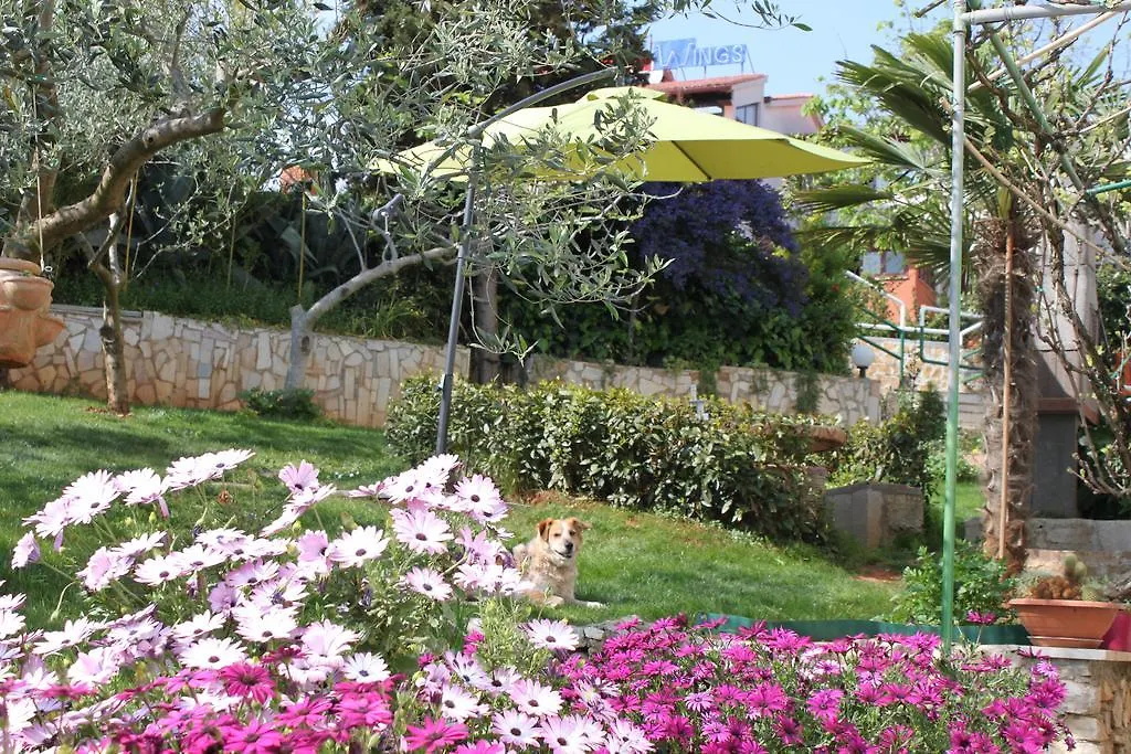 Apartment Iva Pula